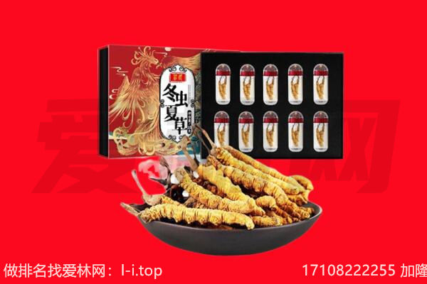 昭通回收虫草.jpg